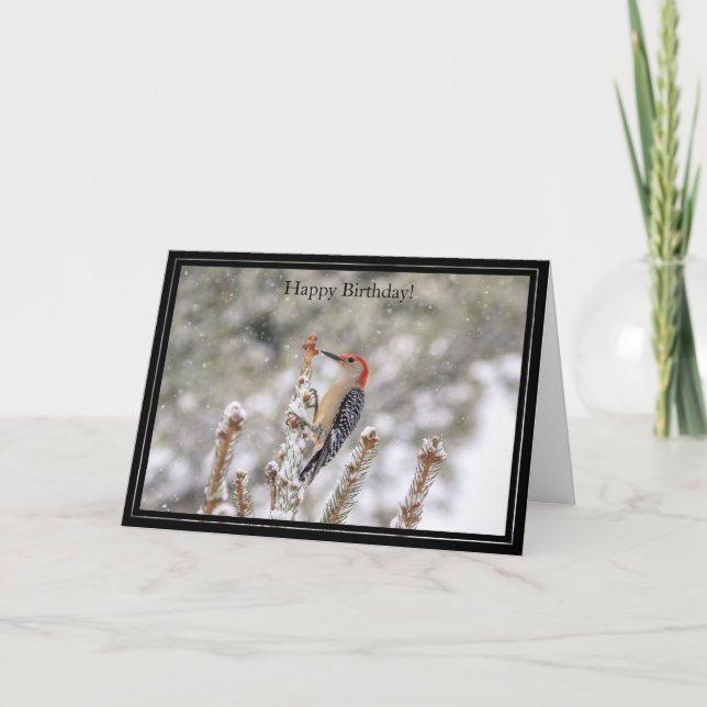 Happy Birthday Card Red-Bellied Woodpecker (Front)