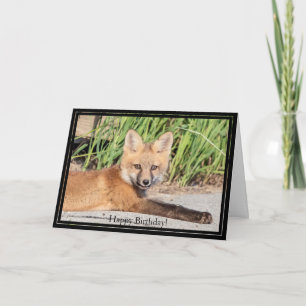 Happy Birthday Card Red Fox Kit