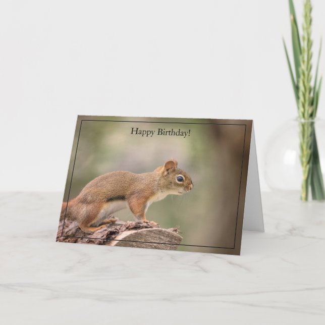Happy Birthday Card Red Squirrel (Front)