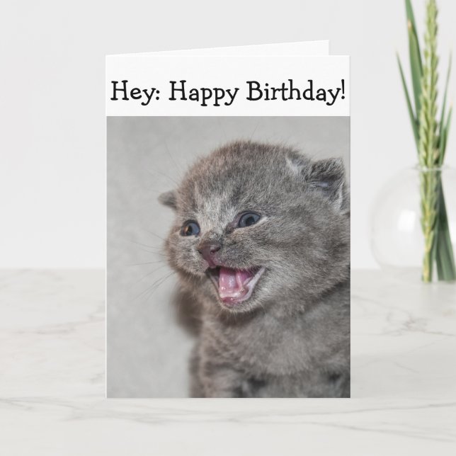 Happy Birthday Card: Surprised gray Kitten Card (Front)