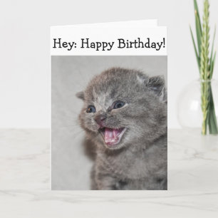 Happy Birthday Card: Surprised gray Kitten Card