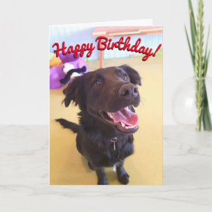 Happy Birthday Card The Happy Boy