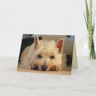 Happy Birthday Card - Westie Card