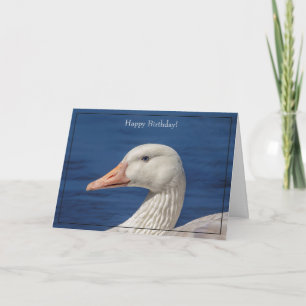Happy Birthday Card White Goose