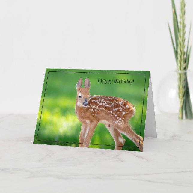 Happy Birthday Card White-Tailed Deer Fawn (Front)