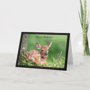 Happy Birthday Card White-Tailed Deer Fawn