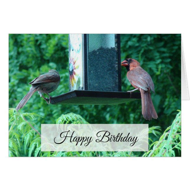 Happy Birthday Card with Cardinals and Squirrel (Front Horizontal)