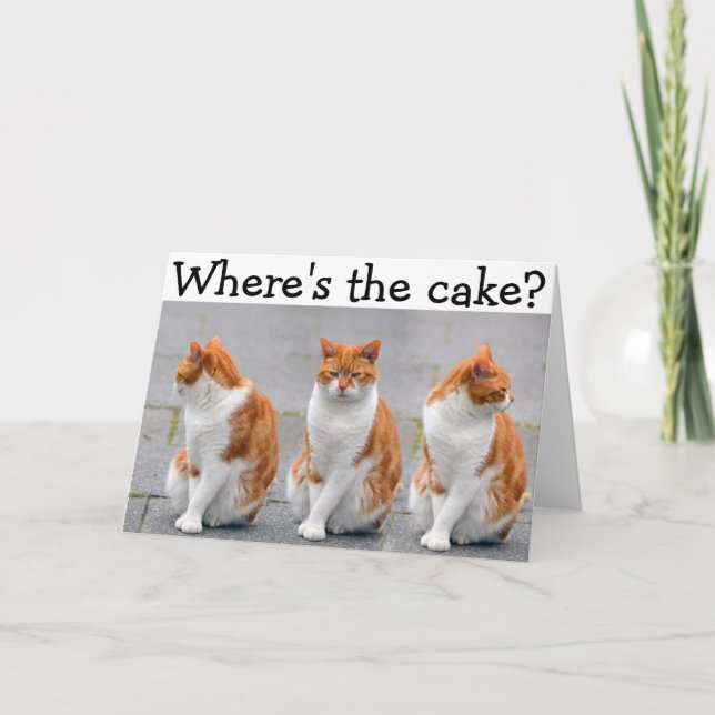 Happy Birthday Card with triple Cat (Front)