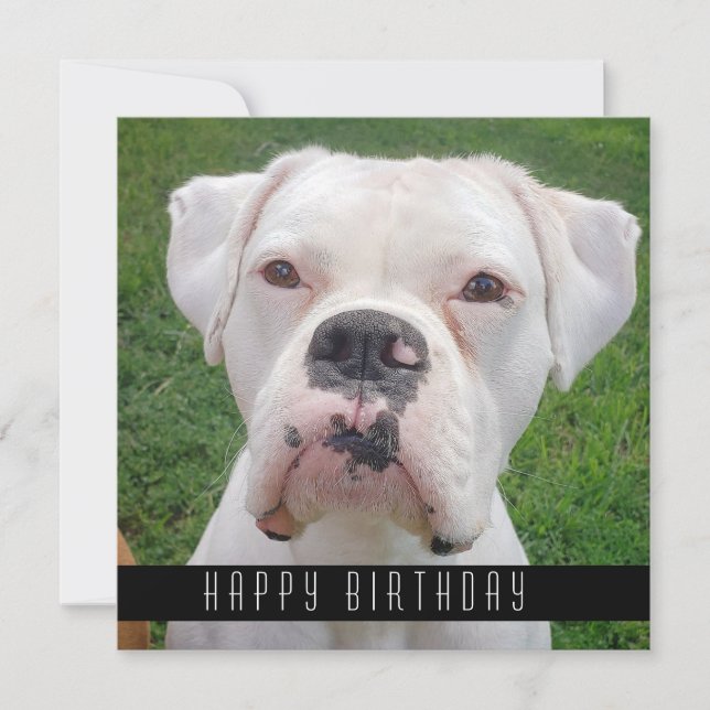 Happy Birthday Cards With Dogs, Add Your Dog (Front)