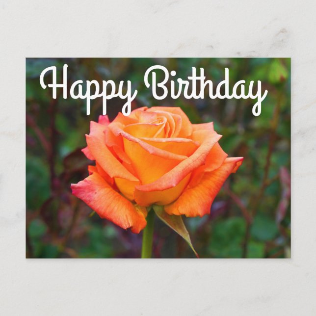 Happy Birthday Caribbean Rose #2 Postcard (Front)