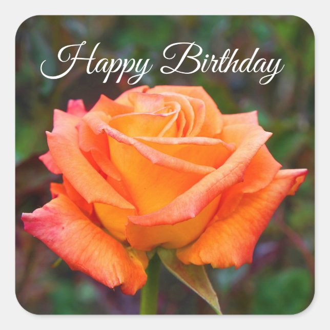Happy Birthday Caribbean Rose #2 Stickers (Front)
