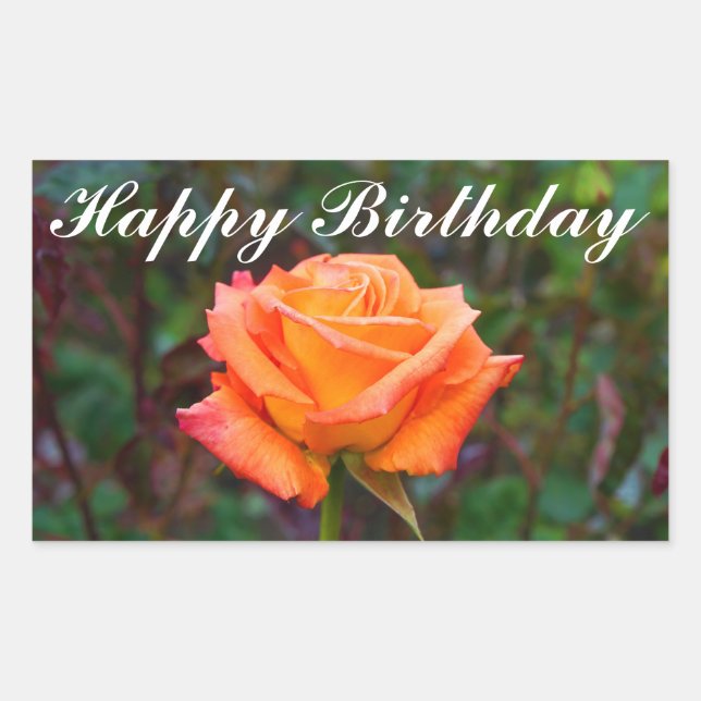 Happy Birthday Caribbean Rose #2 Stickers (Front)