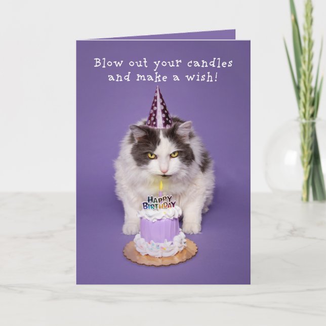Happy Birthday Cat Blowing Candle On Cake Humour Holiday Card (Front)