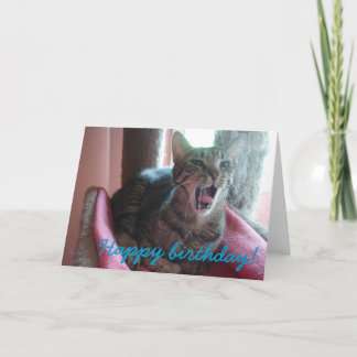 Happy Birthday cat greeting card
