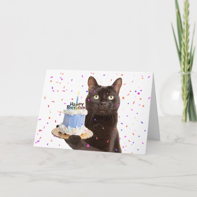 Happy Birthday Cat Holding Birthday Cat Holiday Card (Front)