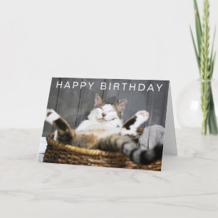 Happy Birthday   Cat in Bed Card