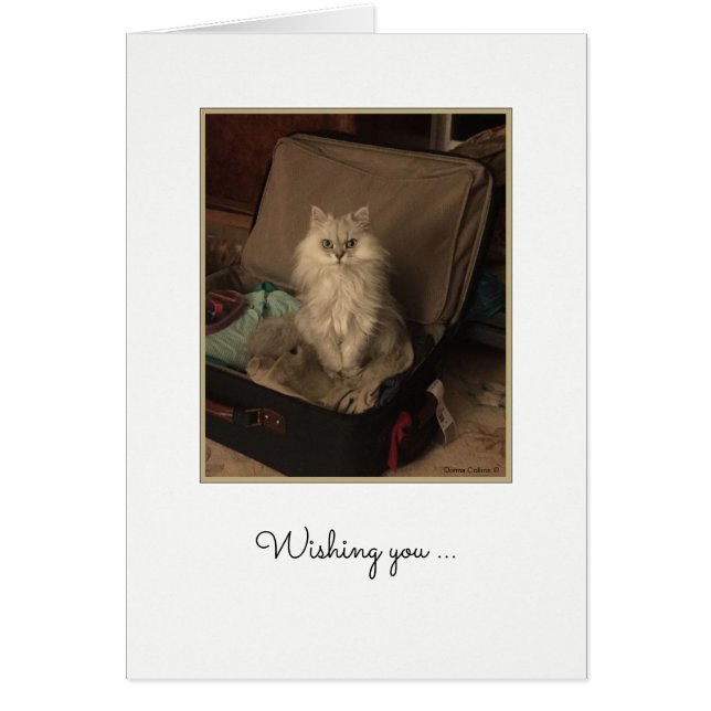 Happy Birthday Cat in Suitcase Card (Front)
