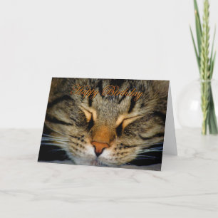 Happy Birthday cat kitten kitty Birthday wishes Card