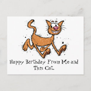 Happy Birthday Cat Postcard