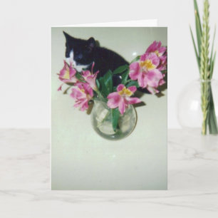 Happy Birthday cat with flowers in vase Card