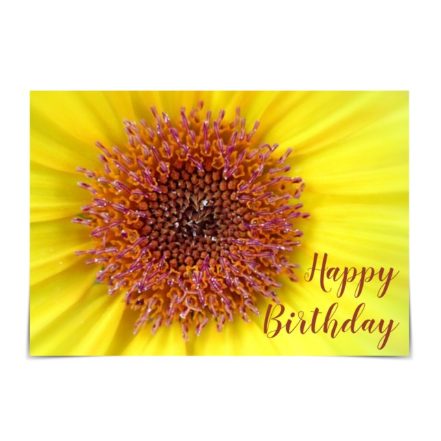 "Happy Birthday" Cheerful Sunflower Card (Creator Uploaded)