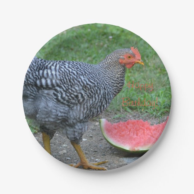 Happy Birthday Chicken Loves Watermelon Paper Plate (Front)