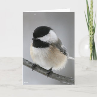 Happy Birthday Chicky Poo! Card