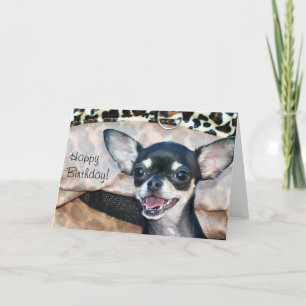 Happy Birthday Chihuahua greeting card