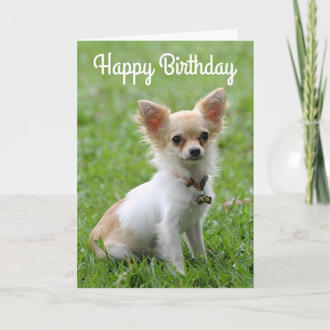 Happy Birthday Chihuahua Puppy Dog Greeting Card (Front)