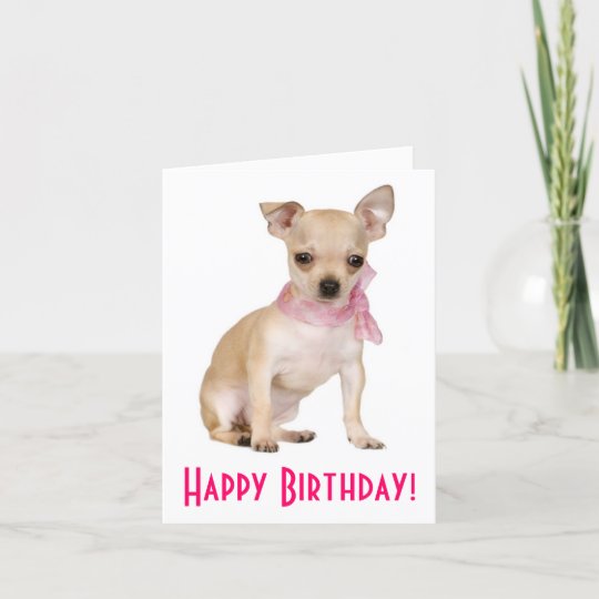 CHIHUAHUA DOG GREETING NOTE PARTY INVITE THANK YOU BIRTHDAY ANNIVERSARY CARDS