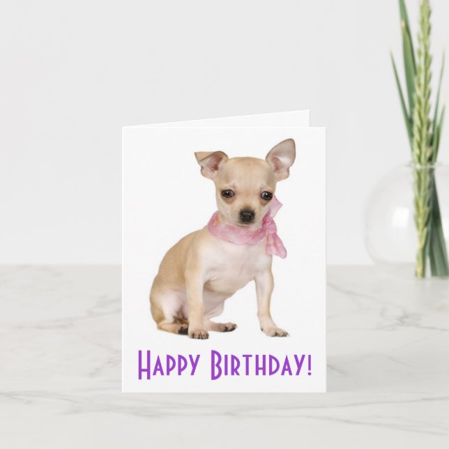 Happy Birthday Chihuahua Puppy Dog Greeting Card (Front)