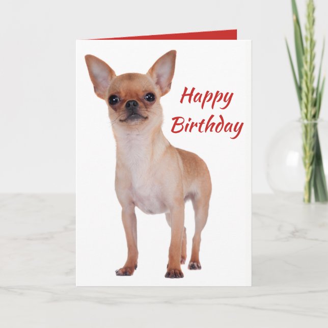 Happy Birthday Chihuahua Puppy Dog Puppies Dogs Card (Front)