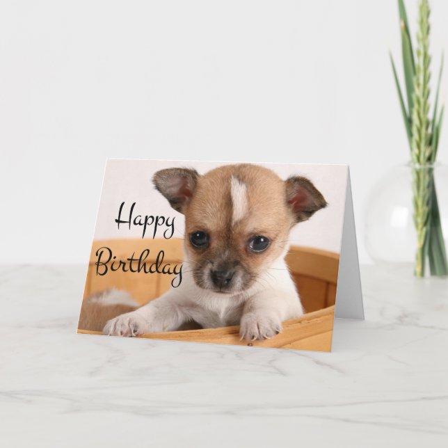 Happy Birthday Chihuahua Puppy Dog - Verse Card (Front)