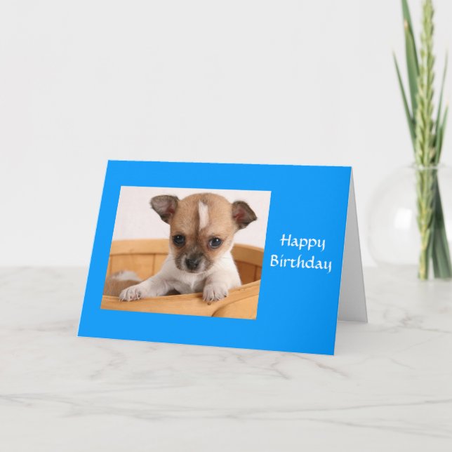 Happy Birthday Chihuahua Puppy Greeting Card (Front)