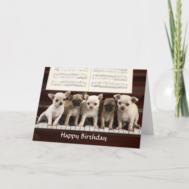Happy Birthday Chihuahua Puppy Greeting Card (Front)