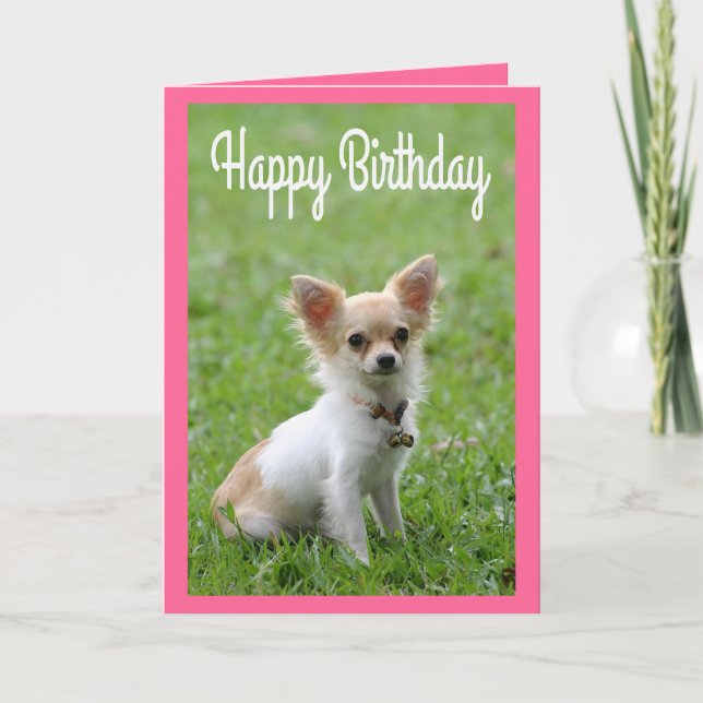 Happy Birthday Chihuahua Puppy Pink Greeting Card (Front)