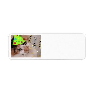 Happy Birthday Child Party Calico Cat Return Address Label