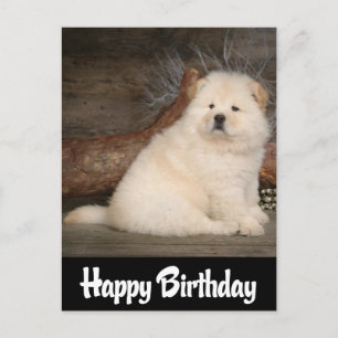 Happy Birthday Chow Chow Puppy Dog Black Postcard
