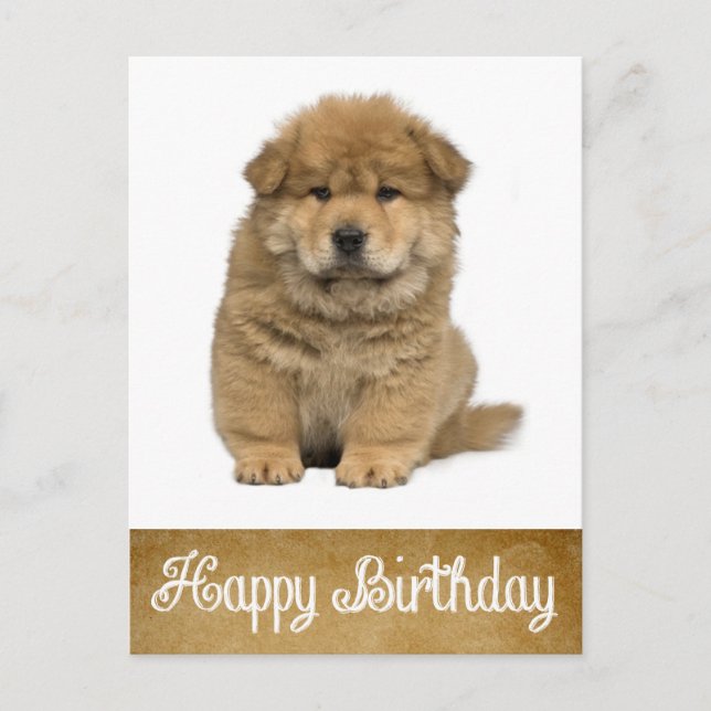 Happy Birthday Chow Chow Puppy Dog Postcard (Front)