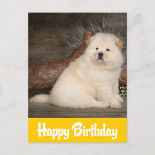 Happy Birthday Chow Chow Puppy Dog Yellow Postcard
