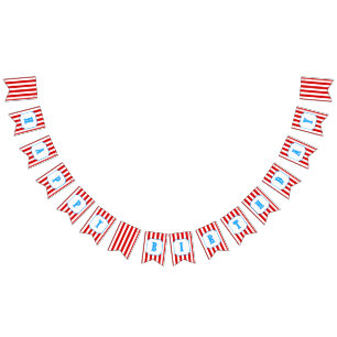 Happy Birthday Circus banner