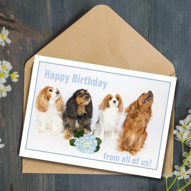 Happy Birthday Co-Worker Cavalier King Charles Dog Card (Creator Uploaded)