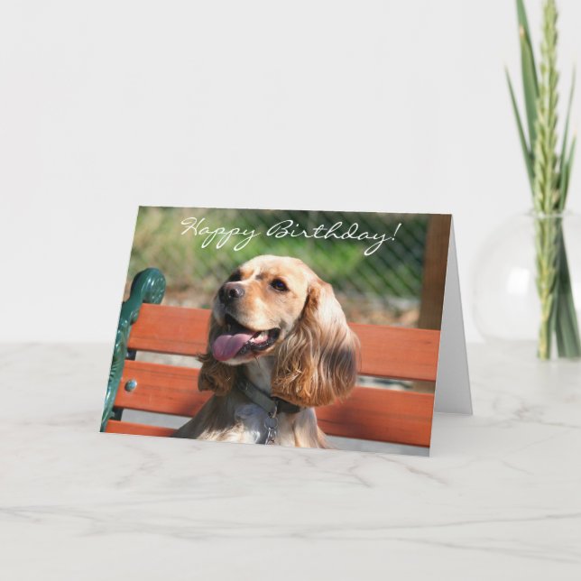 Happy Birthday Cocker Spaniel greeting card (Front)