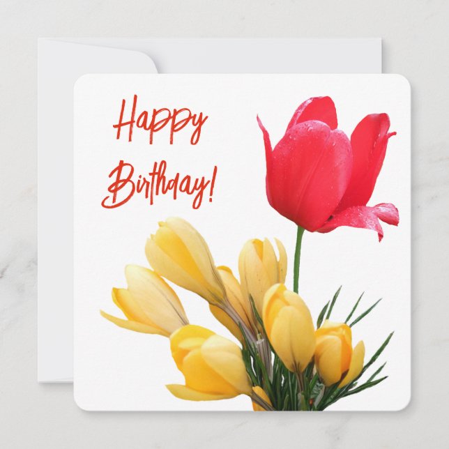Happy birthday colorful red tulip yellow crocus holiday card (Front)