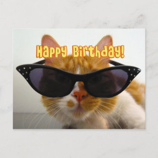 Happy Birthday - Cool Cat in Sunglasses Postcard