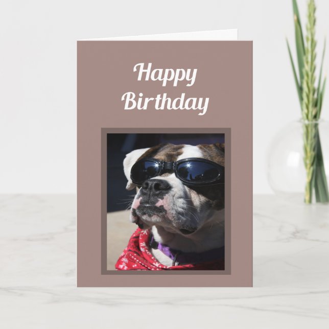 Happy Birthday Cool Dude Fun Boxer Dog Greeting Card (Front)