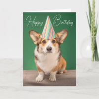 Happy Birthday | Corgi Birthday Puppy