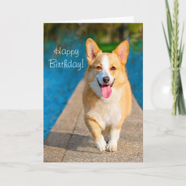 Happy Birthday Corgi Dog Card (Front)