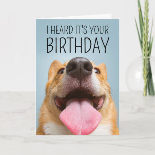 Happy Birthday Corgi Smile Card