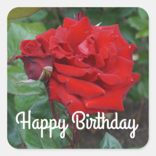 Happy Birthday Crimson Bouquet Rose #2 Stickers